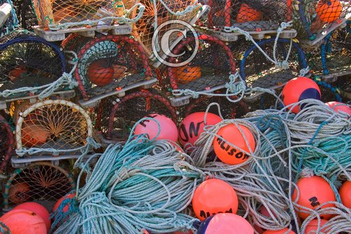 Lobster Pots at St Abbs 1 DM0330